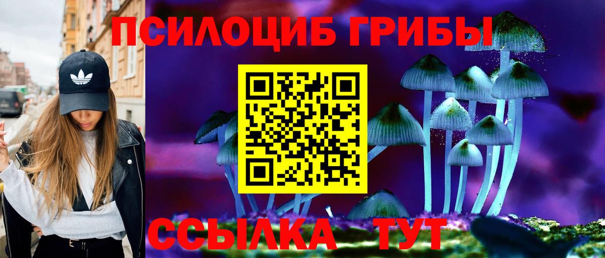 Псилоцибиновые грибы прущие грибы  Вход с VPN  Псилоцибиновые грибы GOLDEN TEACHER  продажа наркотиков  Лянтор 